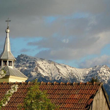 Mountain Vista Suites Zărneşti Eksteriør bilde