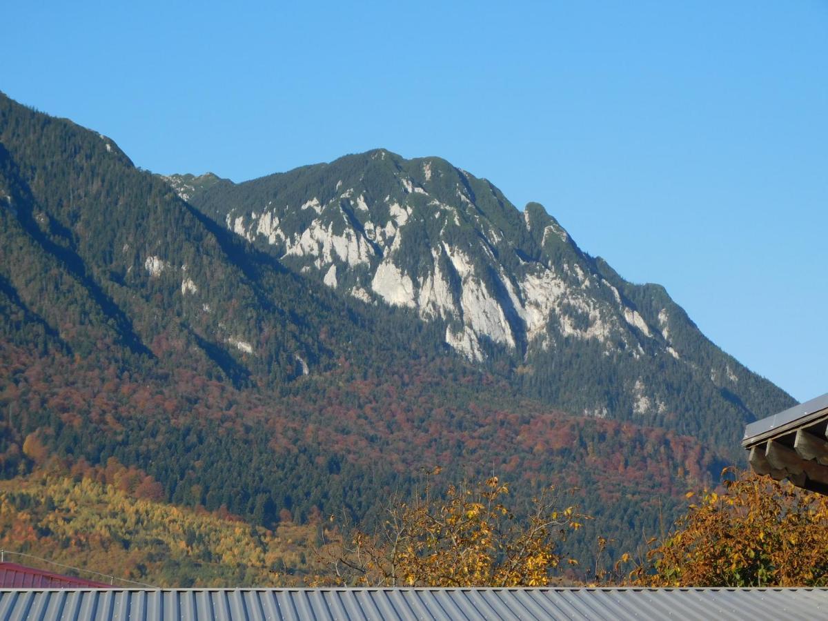 Mountain Vista Suites Zărneşti Eksteriør bilde