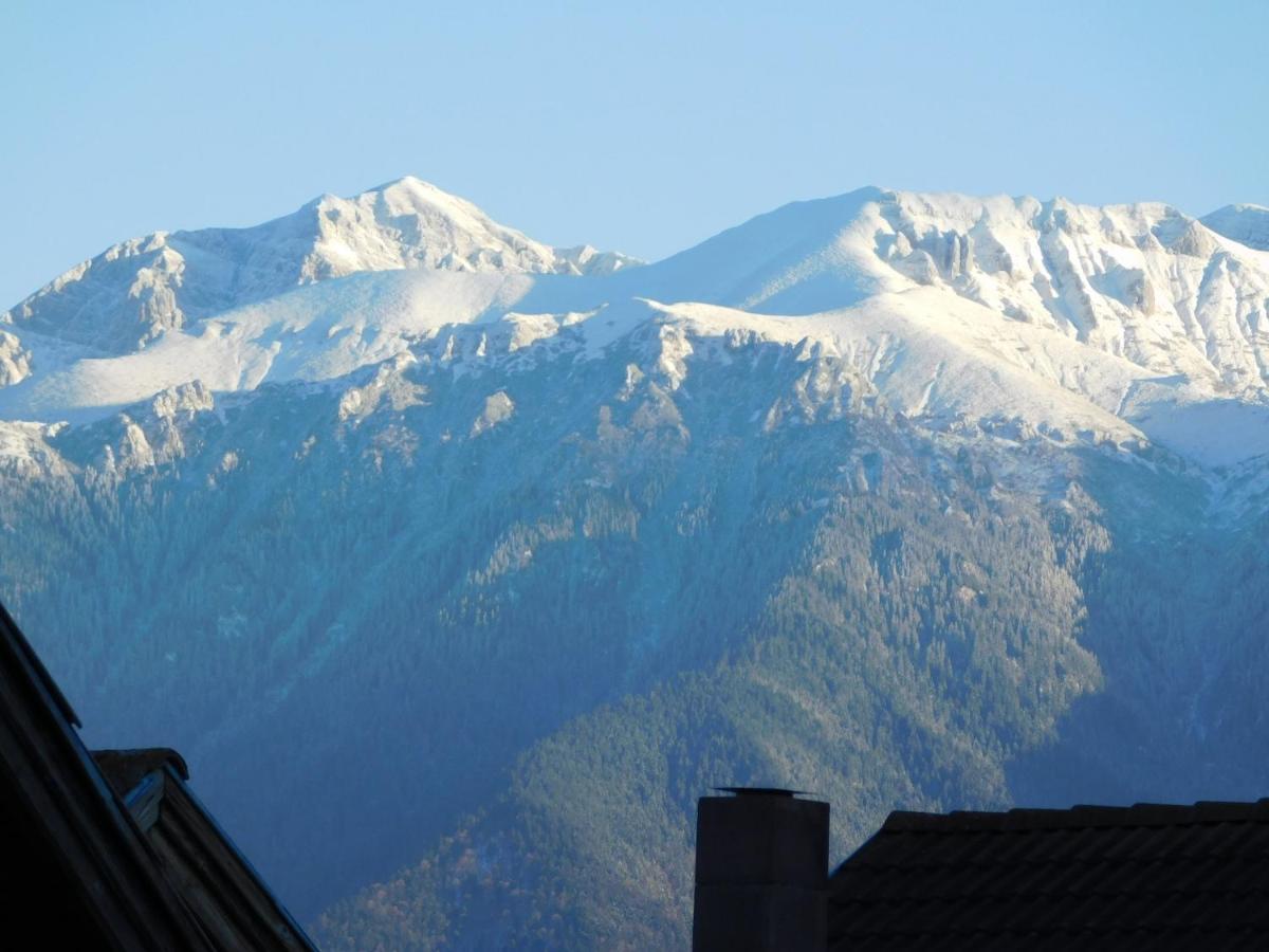 Mountain Vista Suites Zărneşti Eksteriør bilde