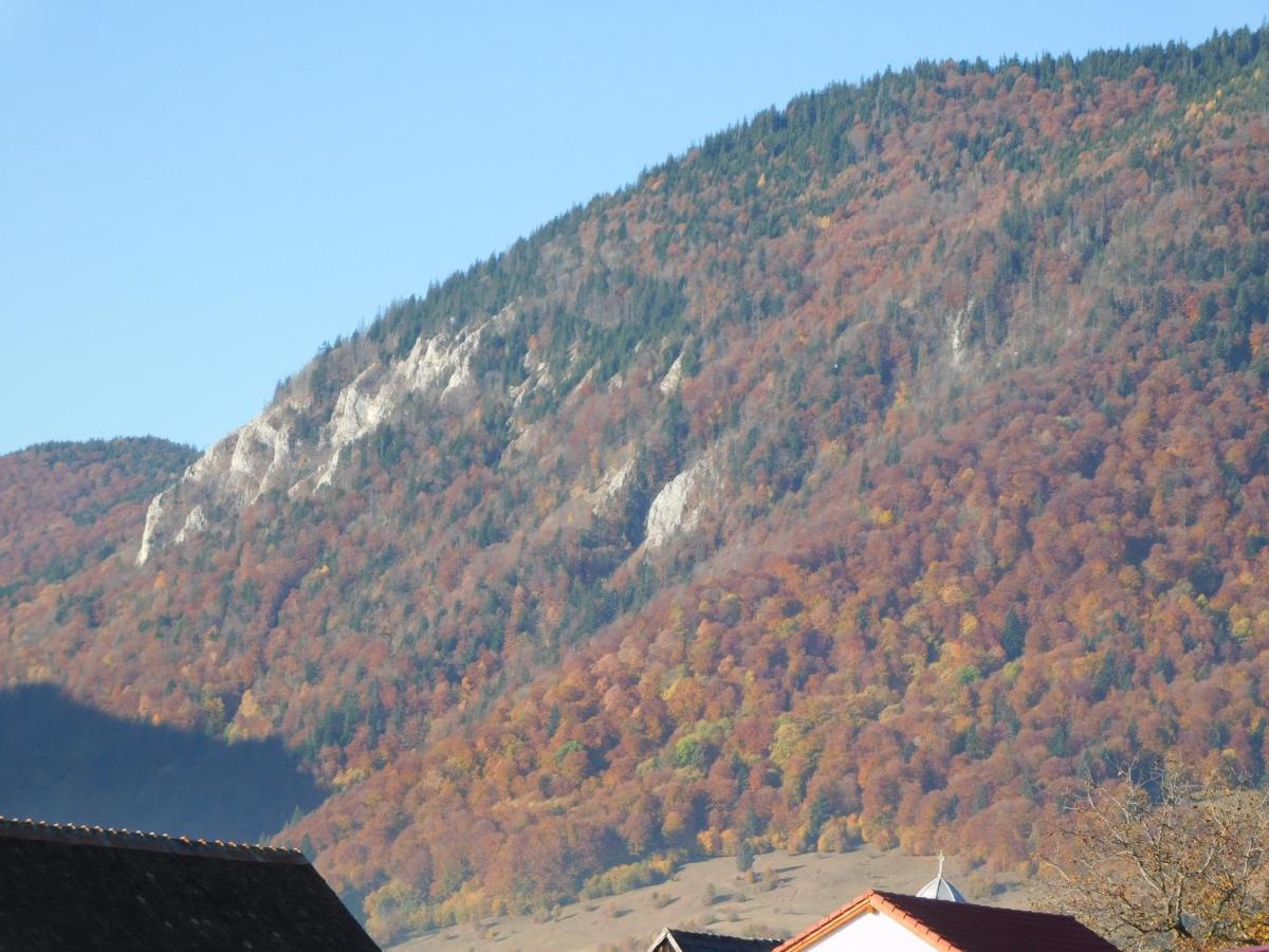 Mountain Vista Suites Zărneşti Eksteriør bilde