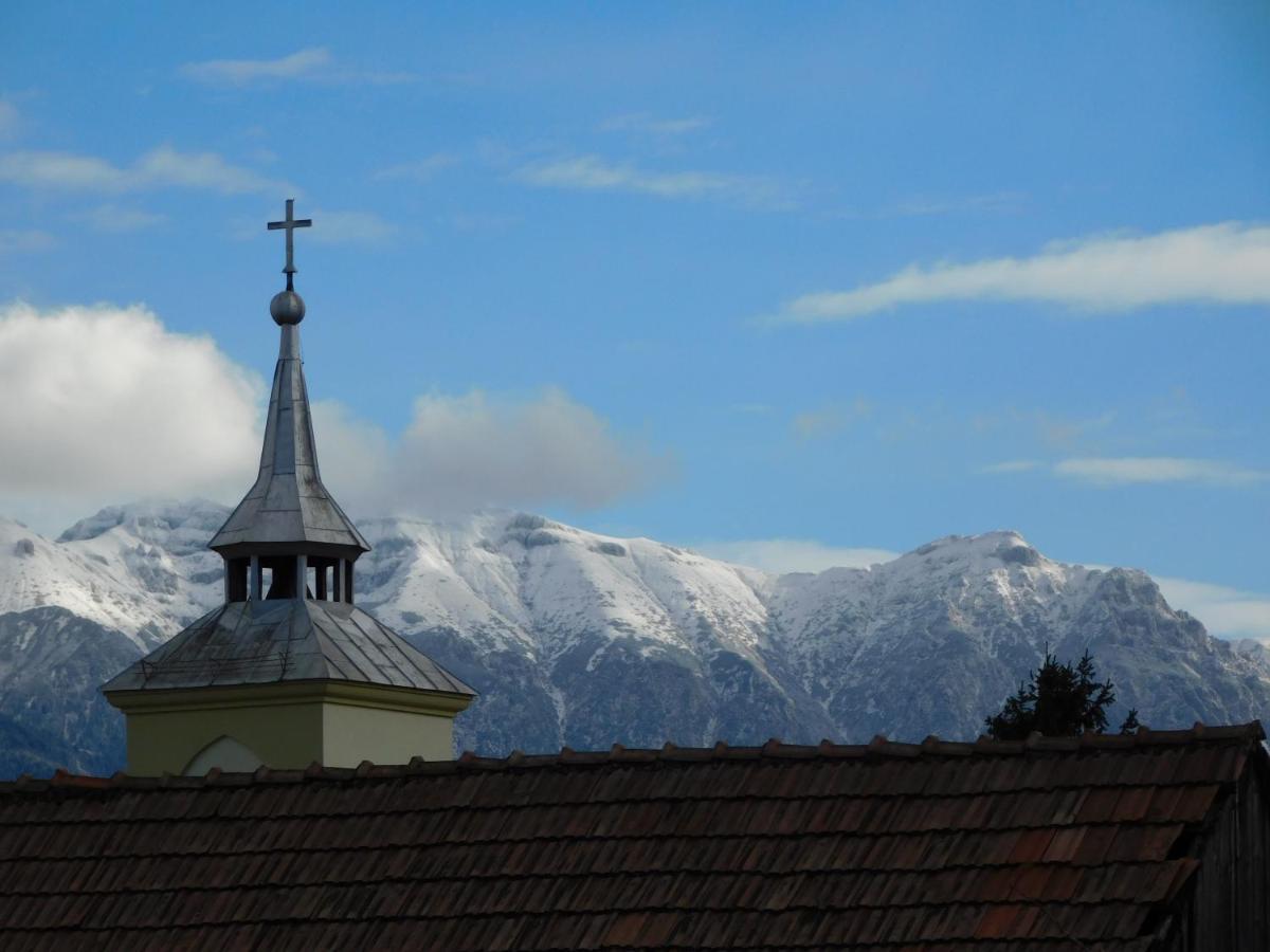 Mountain Vista Suites Zărneşti Eksteriør bilde