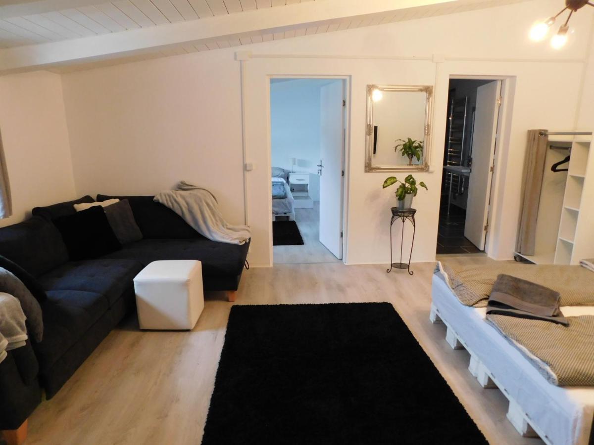 Mountain Vista Suites Zărneşti Eksteriør bilde
