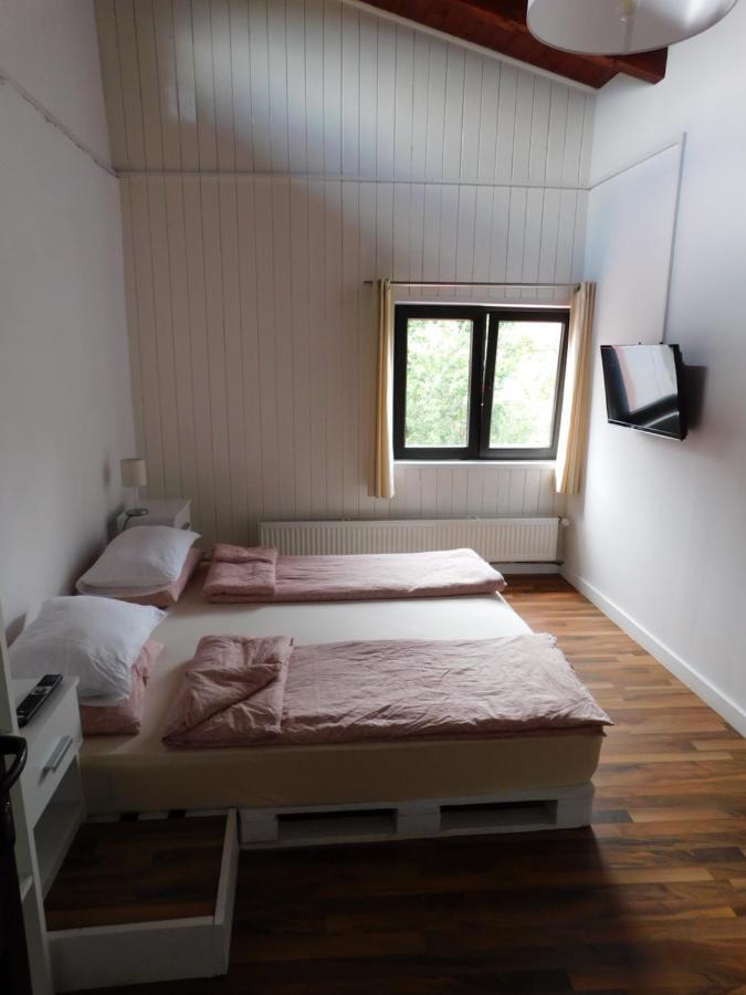 Mountain Vista Suites Zărneşti Eksteriør bilde