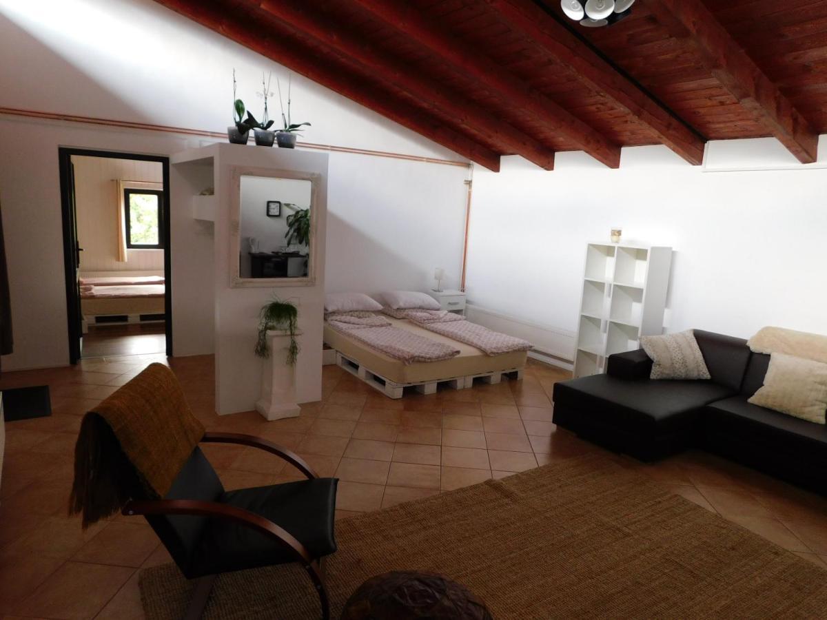 Mountain Vista Suites Zărneşti Eksteriør bilde
